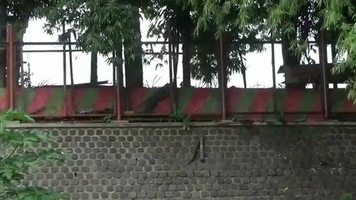 Video sejoli mesum di tempat wisata Kabupaten Pasuruan tersebar di media sosial. Rekaman aksi tak senonoh itu membuat warga heboh.