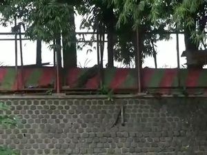 Ada Sejoli Mesum di Ranu Grati Pasuruan, Pengelola Merasa Kecolongan