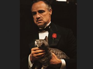 Daftar 25 Film Terbaik Sepanjang Masa Versi Kritikus & Penonton