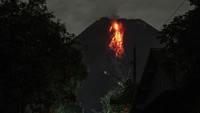 Balai Penyelidikan dan Pengembangan Teknologi Kebencanaan Geologi (BPPTKG) menyebut, dari pengamatan pada pukul 00.00-06.00 WIB, telah terjadi 47 kali guguran lava pijar dengan jarak maksimum 1.000 meter ke arah barat daya. ANTARA FOTO/Hendra Nurdiyansyah  