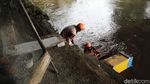 Memasuki Musim Hujan, Debit Air Ciliwung Masih Normal