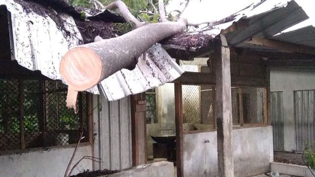 Hujan lebat disertai angin kencang membuat pohon tumbang dan menimpa rumah serta jaringan listrik di Kapanewon Ngemplak, Sleman, Rabu (20/1/2021).