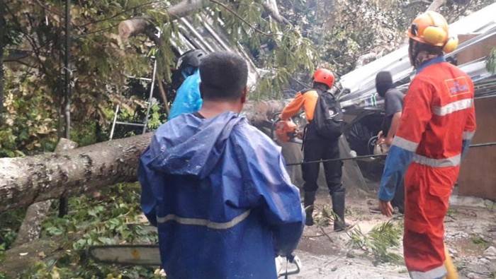 Hujan lebat disertai angin kencang membuat pohon tumbang dan menimpa rumah serta jaringan listrik di Kapanewon Ngemplak, Sleman, Rabu (20/1/2021).