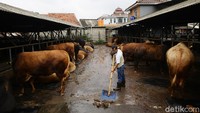 Seperti diketahui, para pedagang daging sapi di Jabodetabek melakukan aksi mogok jualan hari ini. Aksi tersebut dilakukan lantaran harga komoditas tersebut naik drastis di sisi hulu sehingga pedagang kesulitan menjualnya.