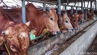 Ketua Umum Ikatan Pedagang Pasar Indonesia (Ikappi) Abdullah Mansuri mengungkapkan biang kerok yang membuat pedagang daging sapi ogok jualan yaitu melonjaknya harga komoditas tersebut.