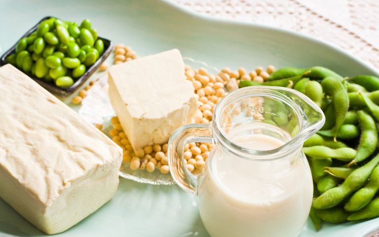 7 makanan sumber protein selain daging sapi