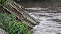 Keberadaan tiang pancang tersebut mangkrak lantaran proyek pembangunan normalisasi sungai Ciliwung tidak ada kelanjutannya.