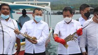 Menteri Kelautan dan Perikanan Sakti Wahyu Trenggono melihat dan merasakan langsung memegang lobster dari hasil yang dibudidayakan disana. Foto: dok. KKP