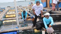 Kedatangan Menteri Kelautan dan Perikanan ke Kabupaten Buleleng, Bali dalam rangka meninjau budidaya Lobster dan Balai Riset Perikanan Budidaya Gondol. Foto: dok. KKP