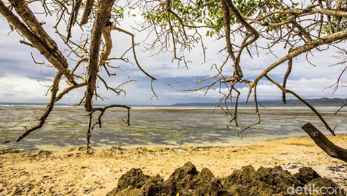 Alas Purwo Banyuwangi