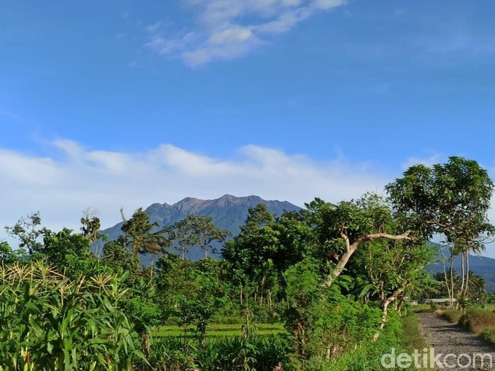 Gunung Raung erupsi sebanyak 32 kali. Saat ini, status gunung yang masuk wilayah Banyuwangi, Bondowoso dan Jember ini masih normal.