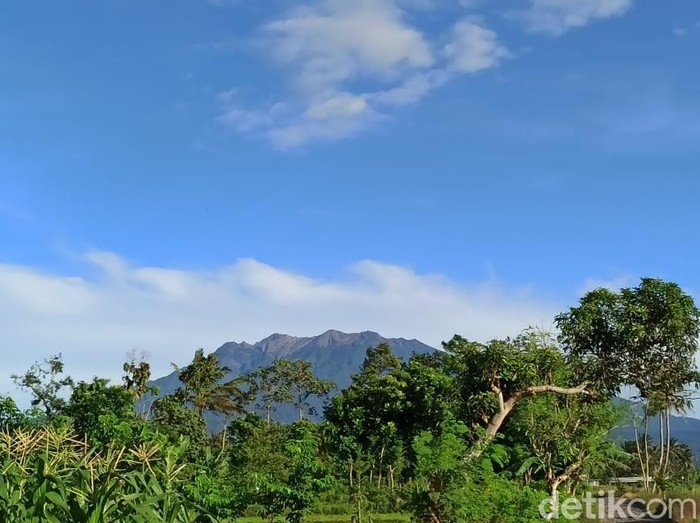Gunung Raung erupsi sebanyak 32 kali. Saat ini, status gunung yang masuk wilayah Banyuwangi, Bondowoso dan Jember ini masih normal.