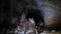 Selama berwisata, wisatawan akan dibawa berkemah, sampai menjelajahi sungai. (AFP)