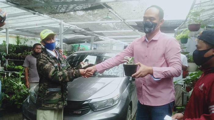 Pedagang tanaman hias di Bogor tukar janda bolong dengan mobil