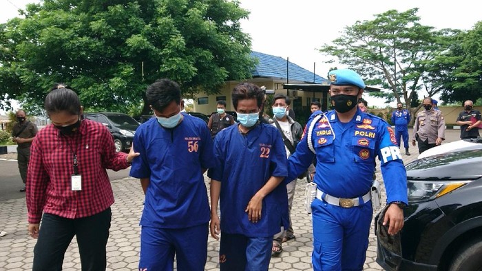 Polisi tangkap pengedar benur ilegal di Lebak, Banten