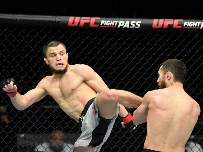 Umar Nurmagomedov Umar Nurmagomedov