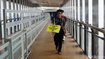 Aksi Peringatan Hari Pejalan Kaki Nasional