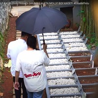 Di sisi lain rumah mewahnya itu juga terdapat kuburan kucing yang berjejer dengan rapih. Diakui Aleta hal itu dikarenakan kecintaan ibunya terhadap kucing. Dia sendiri memiliki hampir sekitar 100 kucing di rumahnya. Foto: Youtube/Boy William