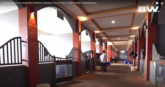 Bagian rumah lainnya yang tak kalah membuat Boy William menjadi kaget adalah kandang dan pacuan kudanya. Ada sekitar 20 lebih kuda yang dimiliki oleh Aleta dan keluarganya. Diakui Aleta bahwa harga kudanya setara dengan satu unit mobil Lamborghini karena kuda-kudanya itu merupakan kuda import. Foto: Youtube/Boy William