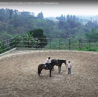 Ini adalah potret pacuan kuda yang ada di rumah Aleta Molly dan keluarganya. Terlihat sangat luas dan memiliki pemandangan indah yang asri. Foto: Youtube/Boy William