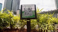 Program Dinas Pertamanan dan Hutan Kota DKI Jakarta yang digagas pada awal Januari lalu tersebut mendata puluhan tanaman kota di sepanjang jalan Thamrin-Sudirman untuk mengetahui informasi terkait tanaman tersebut.