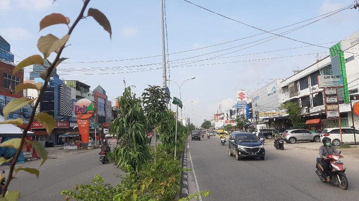 Lokasi 83 batang pohon ditebang pengusaha di Pekanbaru (Raja Adil-detikcom)