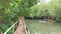 Traveler bisa menikmati hutan bakau buatan ini dengan perahu ataupun menapaki jalan yang terbuat dari bambu. Tak hanya itu, konservasi penyu  di pantai ini juga semakin membuahkan hasil.  (Ardian Fanani/detikTravel)