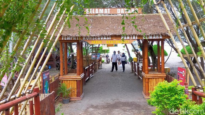 Pantai Cemara Banyuwangi Pantai Cemara Banyuwangi