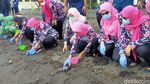 Foto: Pantai Tempat Konservasi Cemara, Penyu dan Bakau di Banyuwangi