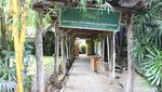Saung Angklung Udjo Sepi Dihantam Pandemi