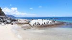Foto: Tak Lagi Ada Alkohol dan Pesta Pantai di Cape Town