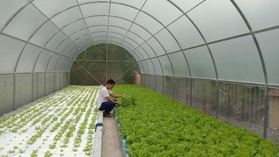 Kisah Petani Muda dari Lereng Gunung Muria