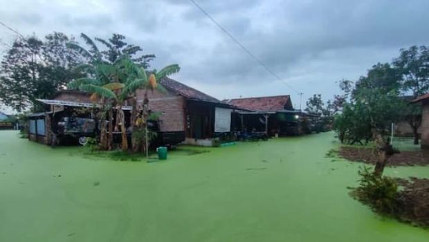 Air banjir berwarna hijau di  Dusun Clumprit, Desa Degayu, Kota Pekalongan, Selasa (19/1/2021)
