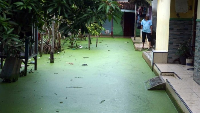 Air banjir berwarna hijau di  Dusun Clumprit, Desa Degayu, Kota Pekalongan, Selasa (19/1/2021)