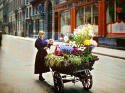 Foto Warna Tertua Rekam Keadaan Dunia Seabad Silam