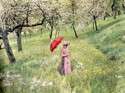 Foto Warna Tertua Rekam Keadaan Dunia Seabad Silam