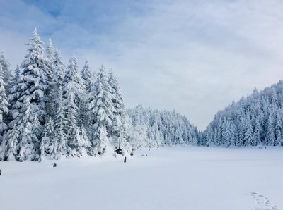Foto: Saat Musim Salju di Kanada