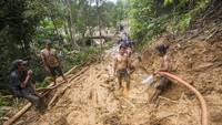 Sejumlah warga bergotong royong membuka akses jalan yang tertutup longsor akibat banjir bandang di Desa Arangani, Kabupaten Hulu Sungai Tengah, Kalimantan Selatan, Jumat (22/1/2021). 