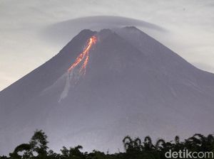 Sejak Semalam Gunung Merapi Muntahkan 53 Kali Lava Pijar