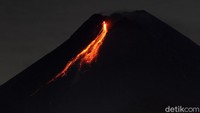 Pada periode hari ini (23/1/2021) per 6 jam dari pukul 00.00 WIB hingga 06.00 WIB teramati guguran lava pijar sebanyak 17 kali dengan jarak luncur 300 hingga 500 meter ke barat daya hulu Kali Krasak dan Boyong.