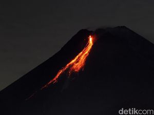 Selama 12 Jam Merapi Muntahkan 40 Kali Lava Pijar-4 Kali Awan Panas