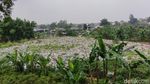 Potret Tumpukan Sampah Seluas Lapangan Bola di Pinggir JORR Bekasi