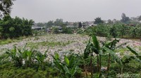 Lokasi tumpukan sampah tersebut terletak di sekitar 100 meter di samping akses Gerbang Tol Kalimalang 1 Tol JORR arah Priok (Taufieq Renaldi/detikcom)