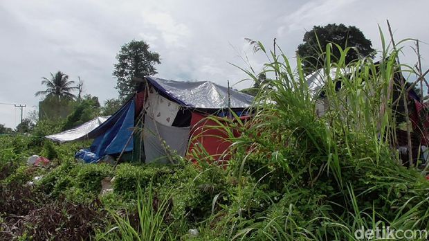Sebagian warga Kabupaten Mamuju korban gempa bumi berkekuatan magnitudo 6,2 masih bertahan di lokasi pengungsian (Abdy Febriady/detikcom)