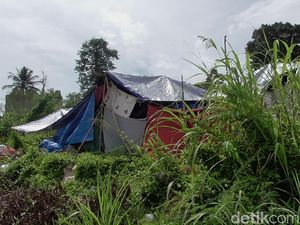 Nenek Halamia, Korban Gempa Mamuju Meninggal di Tenda Depan Rumahnya