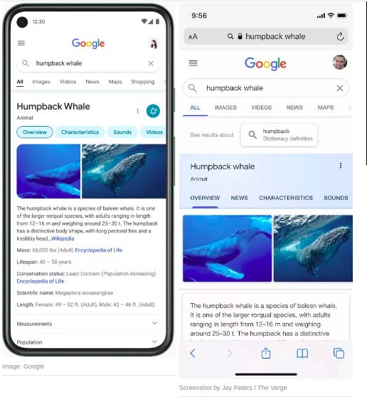 Hasil Penelusuran Gambar Google untuk