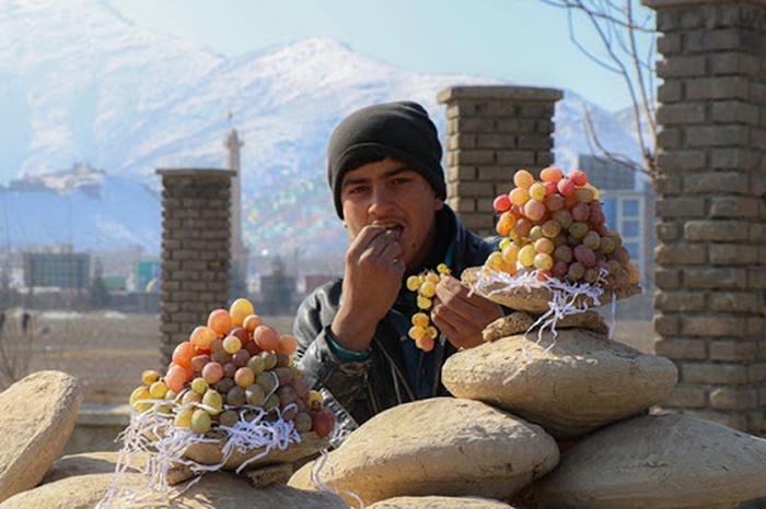Awet 6 Bulan, Begini Cara Simpan Buah Anggur ala Masyarakat Afghanistan