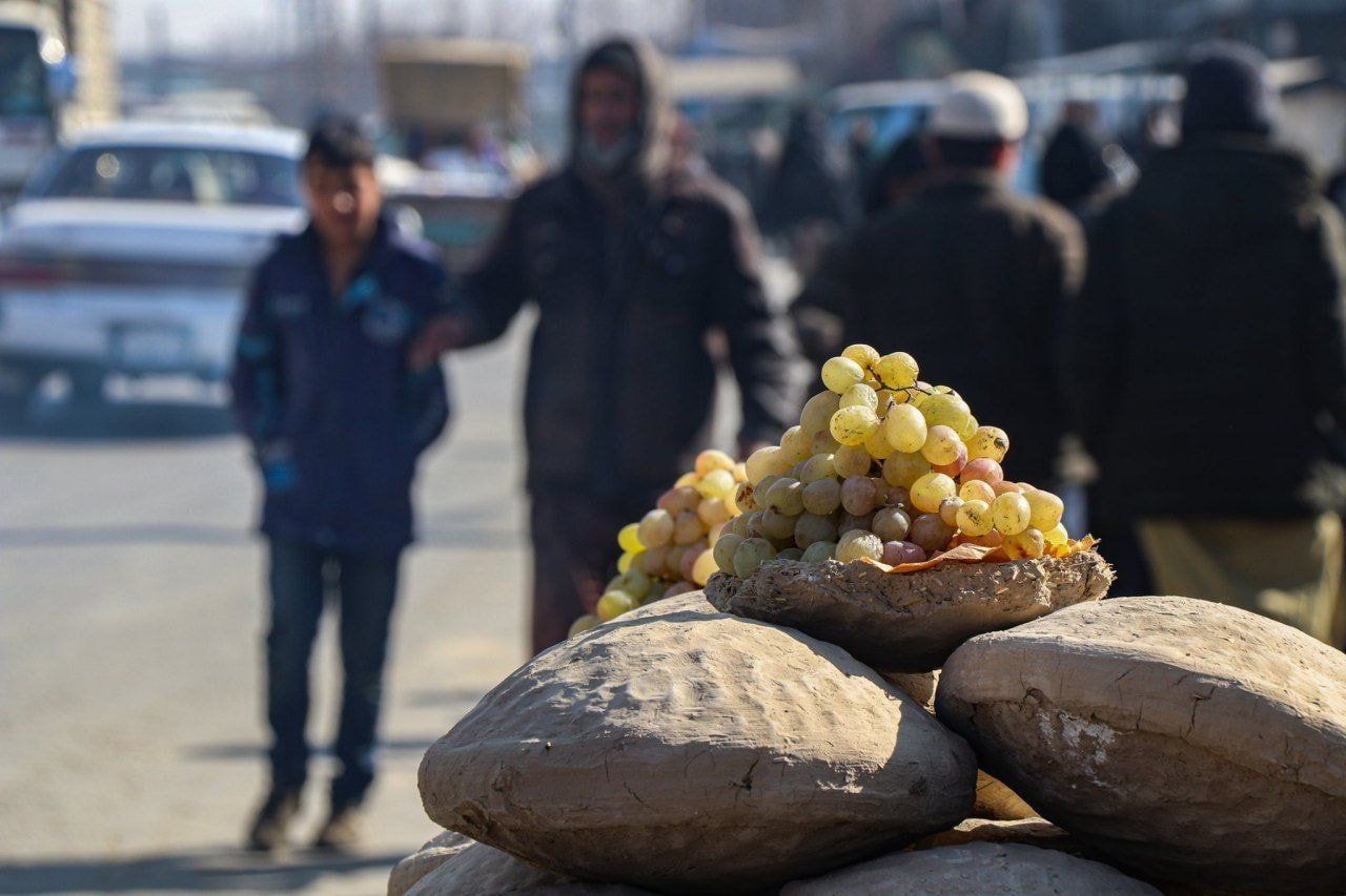 Awet 6 Bulan, Begini Cara Simpan Buah Anggur ala Masyarakat Afghanistan