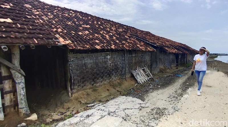 Melihat dari Dekat 'Rumah Kurcaci' di Jalur Pantura Rembang