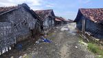 Melihat dari Dekat Rumah Kurcaci di Jalur Pantura Rembang